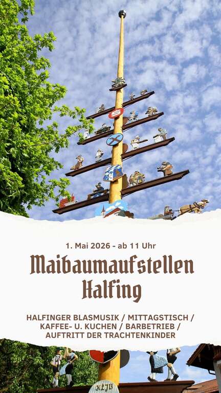 Maibaumaufstellen-Halfing--2026-05-01